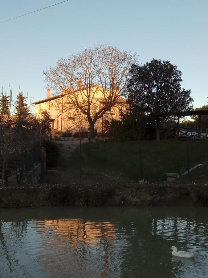 Agriturismo La Provenca Chianciano Terme Extérieur photo