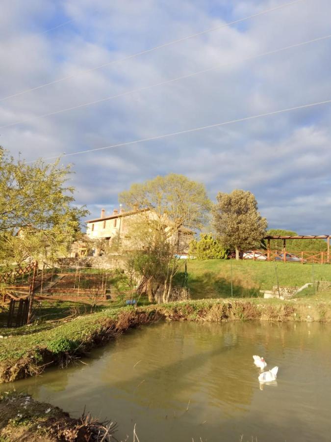 Agriturismo La Provenca Chianciano Terme Extérieur photo