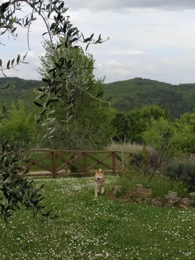Agriturismo La Provenca Chianciano Terme Extérieur photo