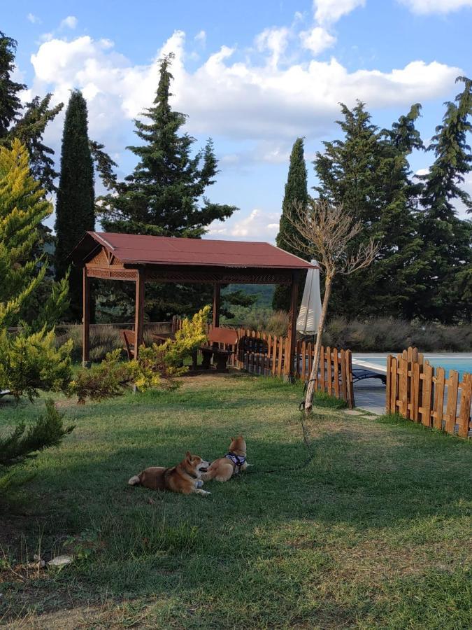 Agriturismo La Provenca Chianciano Terme Extérieur photo