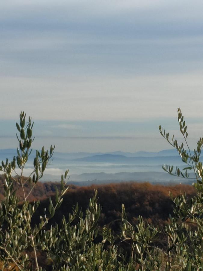 Agriturismo La Provenca Chianciano Terme Extérieur photo