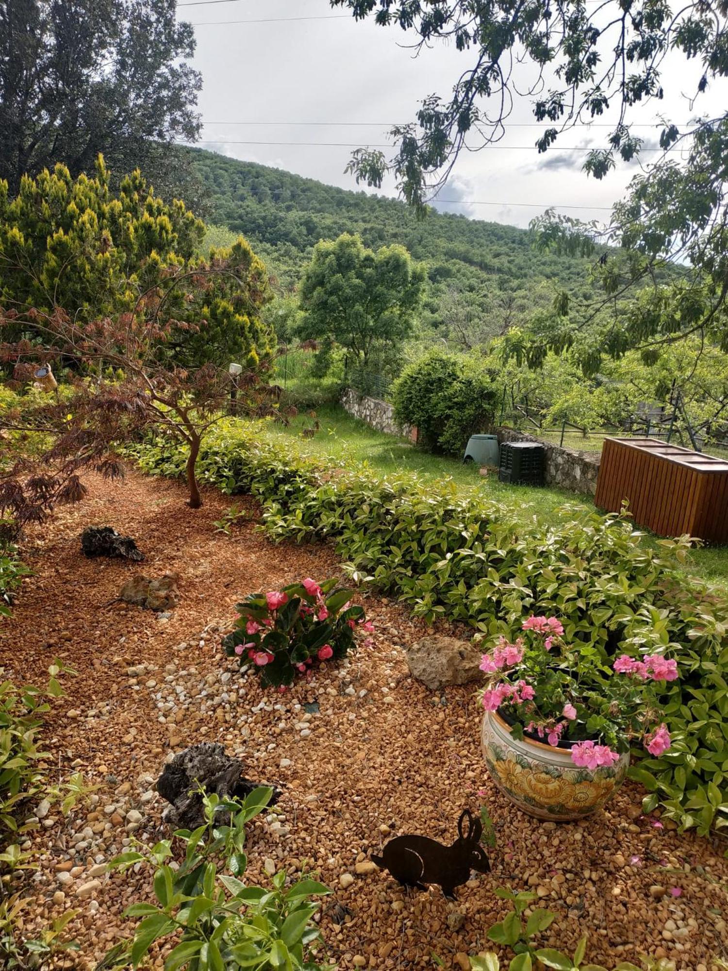 Agriturismo La Provenca Chianciano Terme Extérieur photo