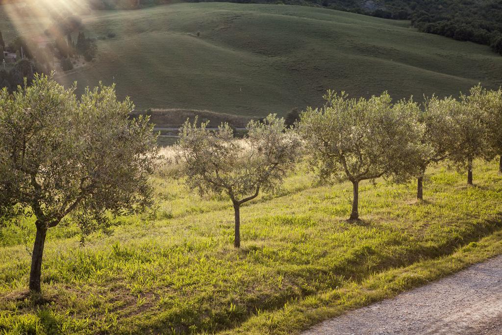Agriturismo La Provenca Chianciano Terme Extérieur photo